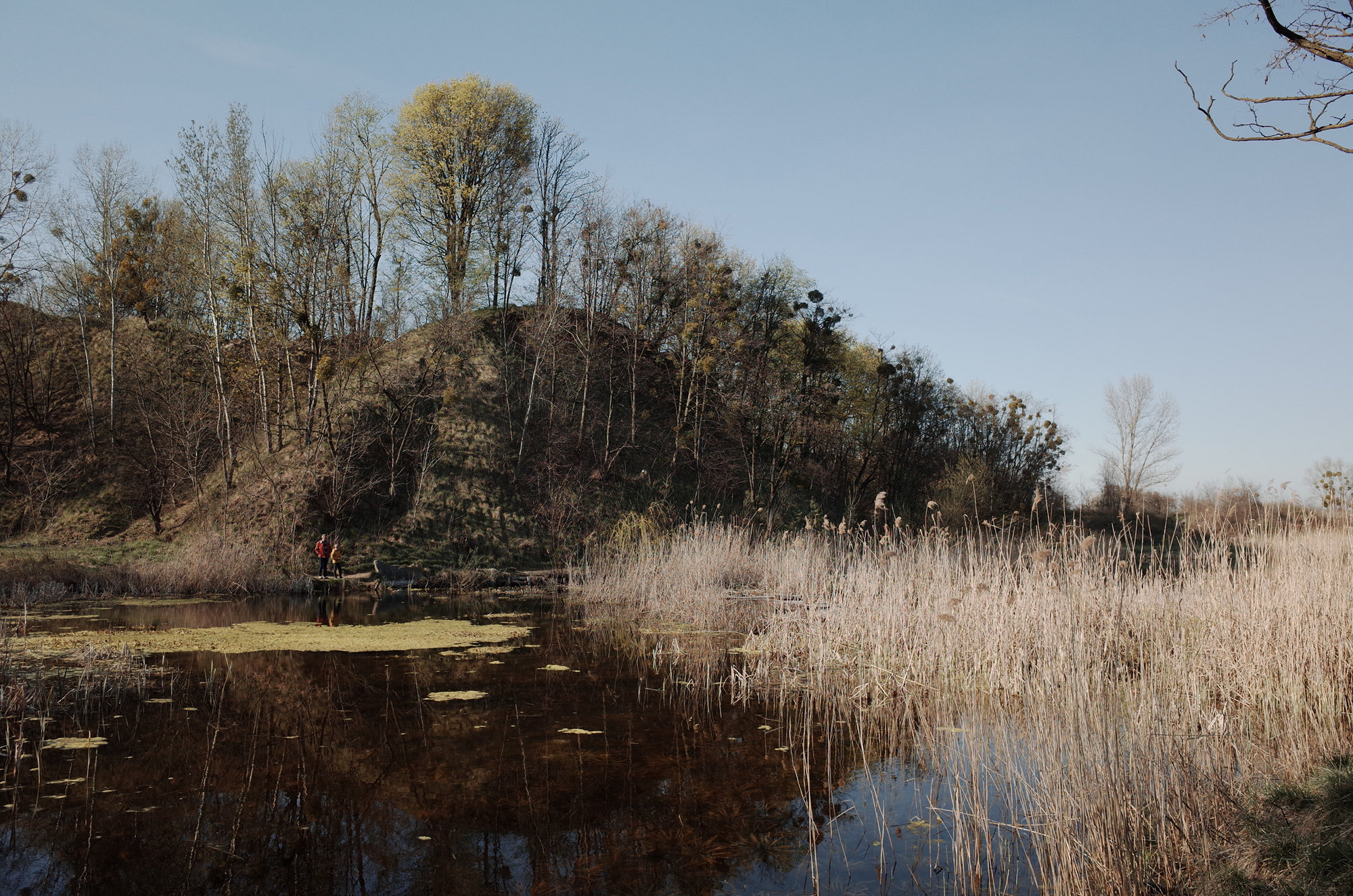 The Lake - Ricoh GR II, photo 3