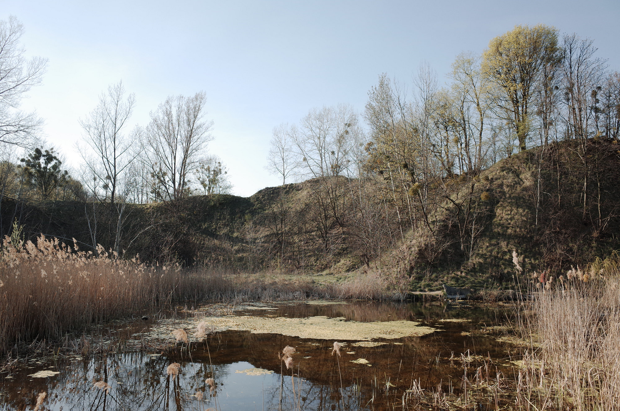 The Lake - Ricoh GR II, photo 6