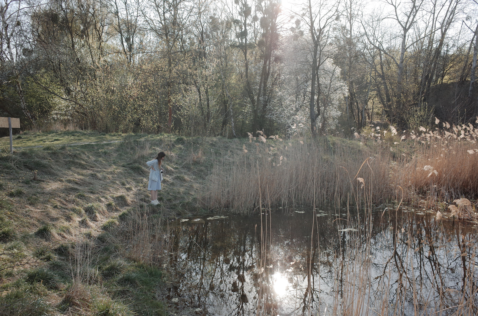 The Lake - Ricoh GR II, photo 10