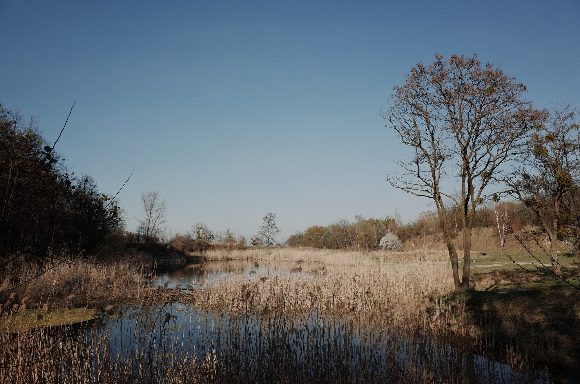 The Lake - Ricoh GR II, photo 1