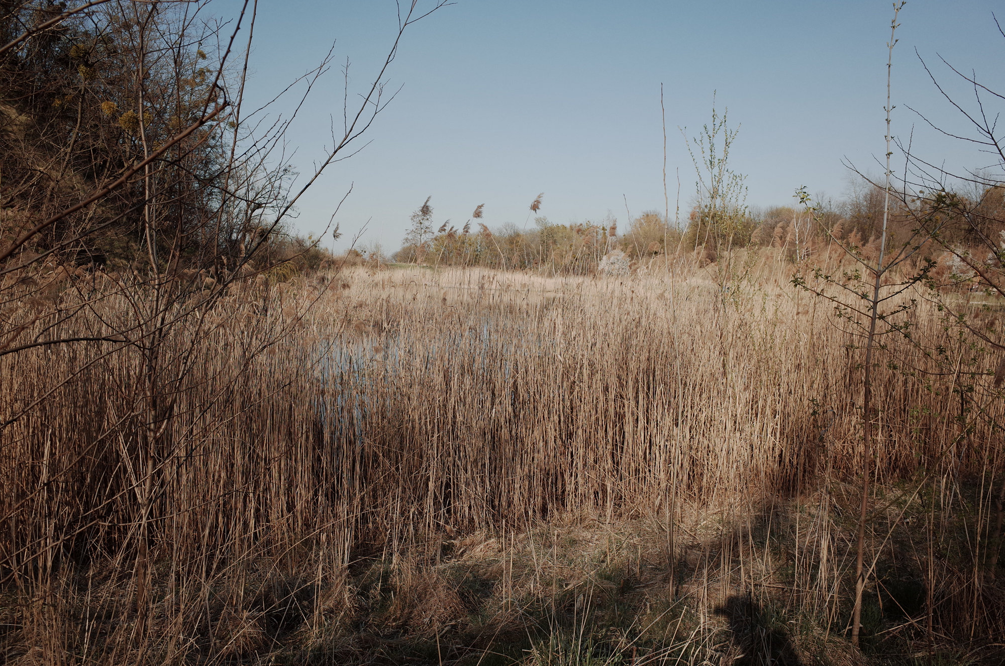 The Lake - Ricoh GR II, photo 2