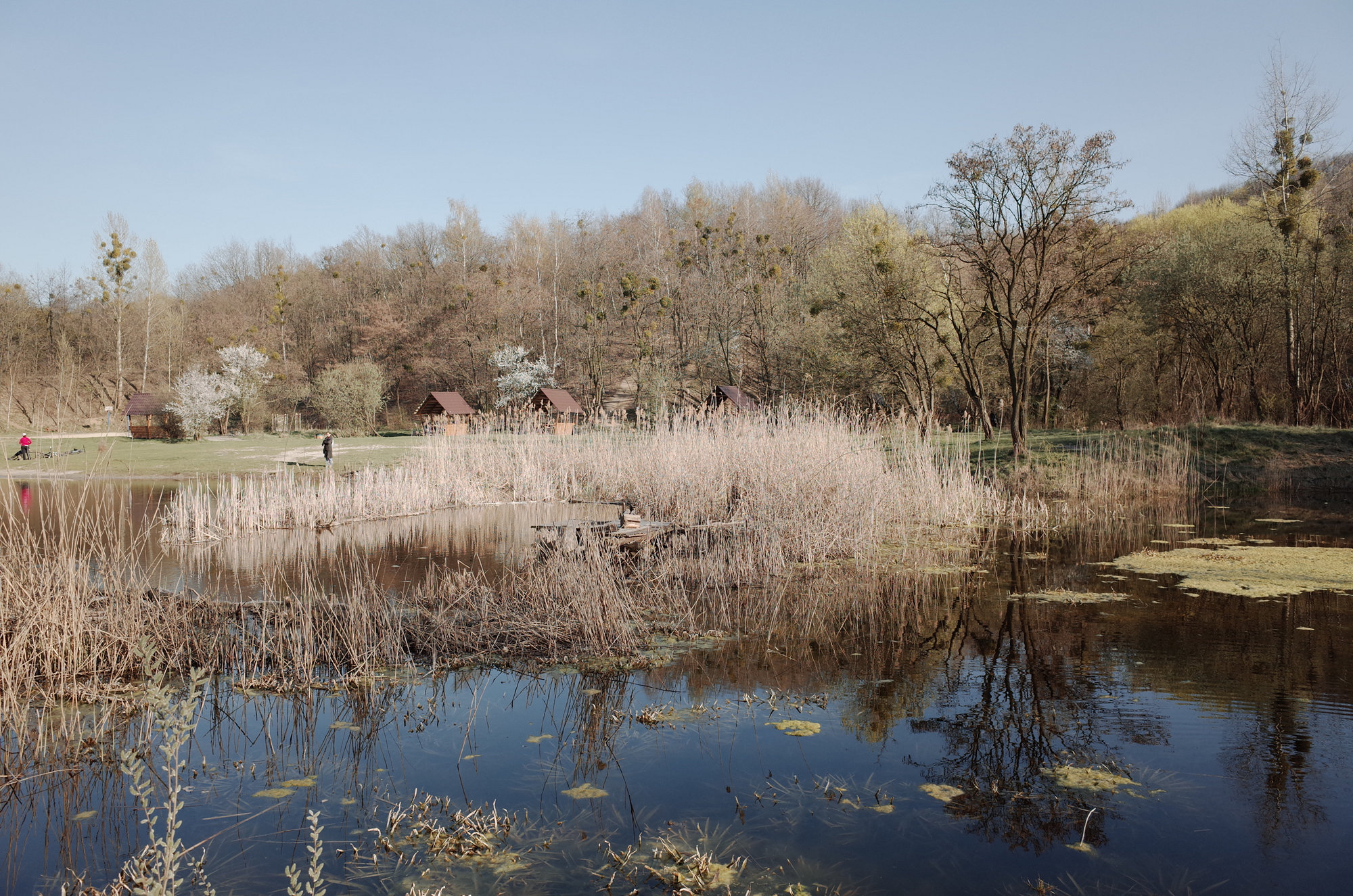 The Lake - Ricoh GR II, photo 9