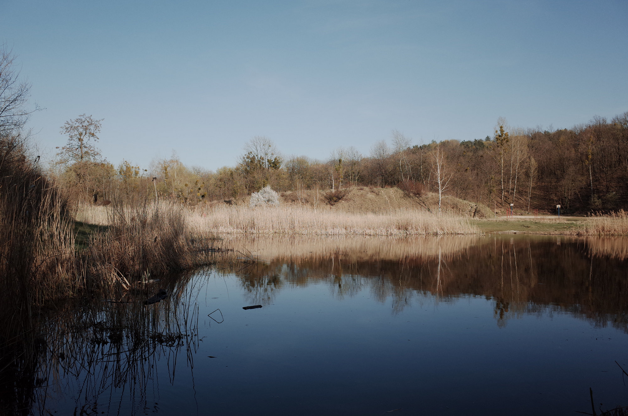 The Lake - Ricoh GR II, photo 5